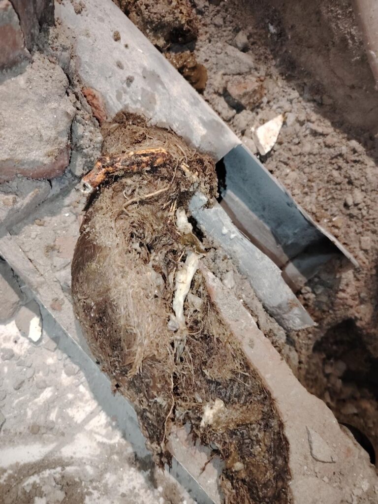 Duguláselhárítás Cegléd